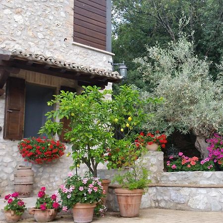 Eremo Delle Fate Villa Spoleto Ngoại thất bức ảnh